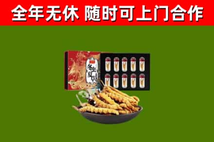 包头烟酒回收冬虫夏草礼盒.jpg